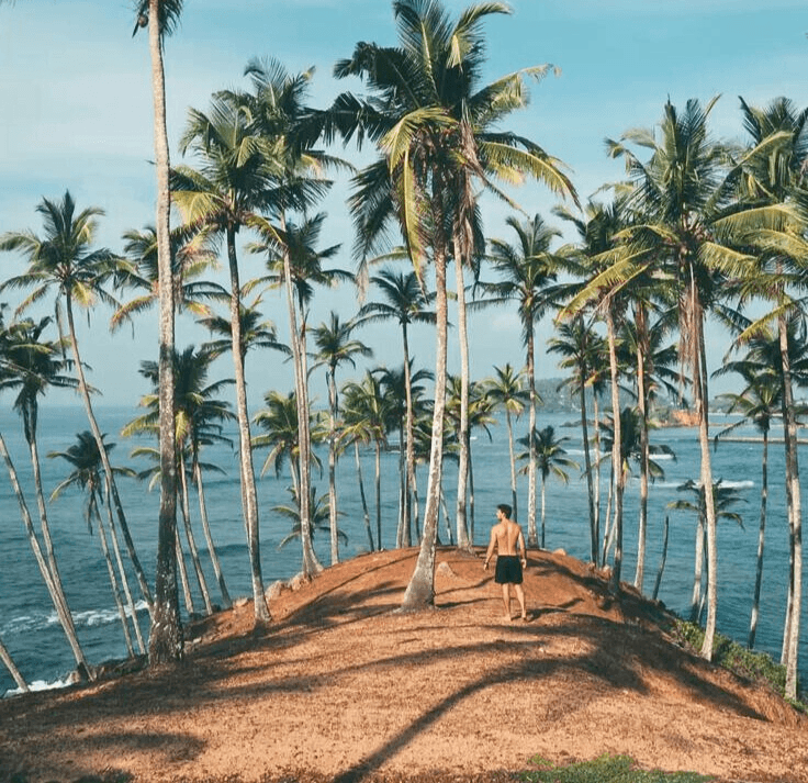 Cover Image for Hills to Coast